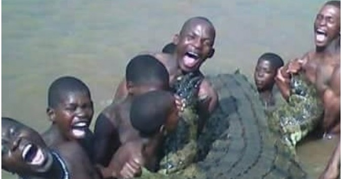 Limpopo : Ils « violent un crocodile pour ne plus être impuissants » et meurent déchiquetés