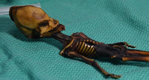 L&rsquo;ADN de l&rsquo;«extraterrestre humanoïde» d&rsquo;Atacama enfin décrypté