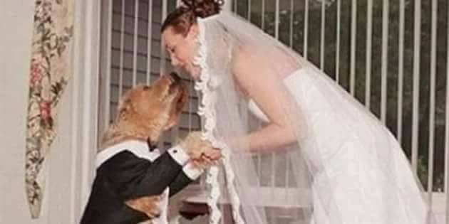 Une britannique épouse son chien.