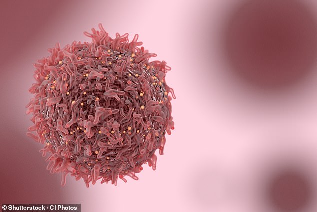 Des scientifiques ont découvert qu&rsquo;une « cellule d&rsquo;origine » pouvait déclencher CHAQUE type de cancer et permettre à la maladie de se propager