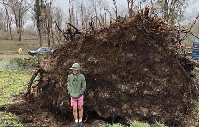 Un garçon de 12 ans est écrasé alors qu&rsquo;il se tenait près d&rsquo;un arbre tombé qui est soudainement revenu à sa place après un violent orage
