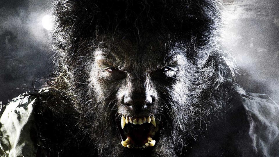 16 enfants développent un «syndrome de loup-garou» après avoir pris des médicaments contaminés