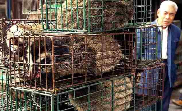 La Chine interdit de manger des animaux sauvages suite à l&rsquo;épidémie de coronavirus