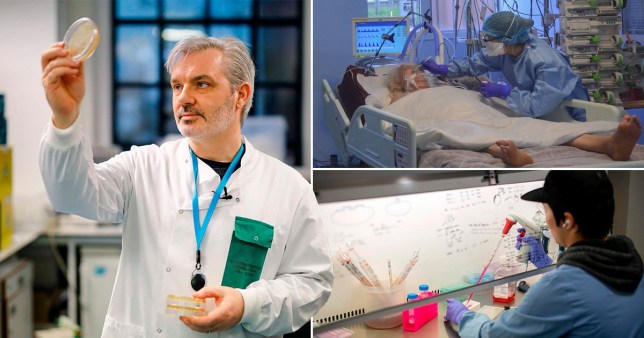 Des scientifiques britanniques sur le point de trouver le vaccin contre le coronavirus
