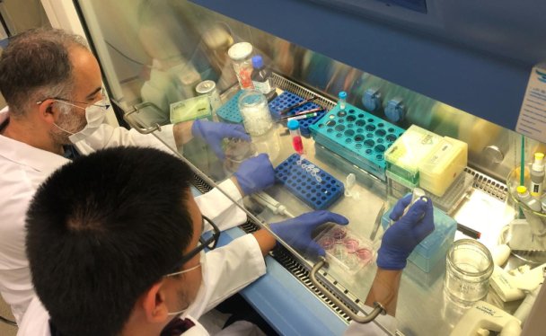 Des scientifiques turcs développent un médicament qui empêche la multiplication du COVID-19 chez l&rsquo;homme
