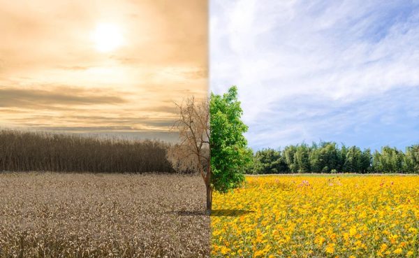 Les experts avertissent que le changement climatique tue déjà bien plus de personnes que nous n&rsquo;en enregistrons
